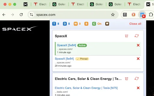 Download Duplicate Tab Detector – Hapus Tab Ganda Otomatis - Screenshot 1